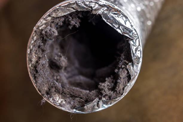 Best Best Air Duct Cleaning Company  in Kings Park, VA